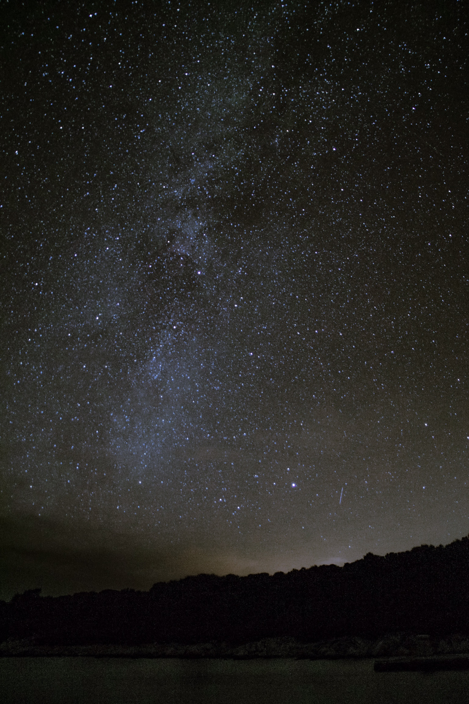 Botanical rituals — handmade pages, symbols and altar details
