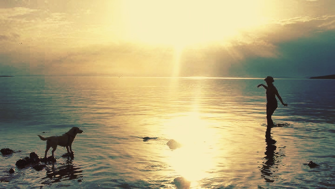 Forest path on Silba — Magia Botanica journey