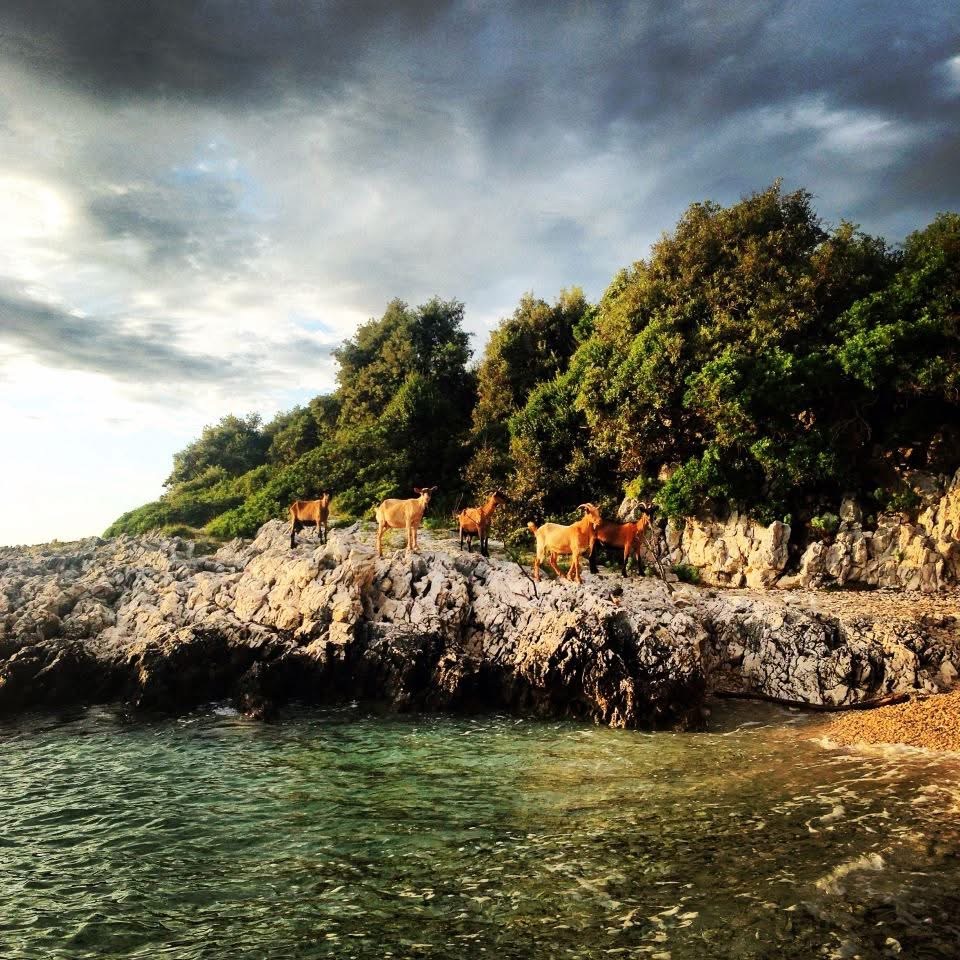 Ritual portals — Magia Botanica sacred reading PDFs and ritual transmissions